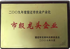 Leading Enterprises