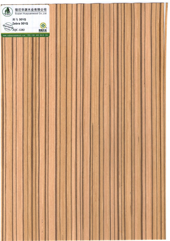 Zebra 301Q