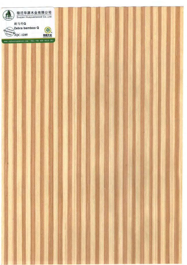 Zebra bamboo