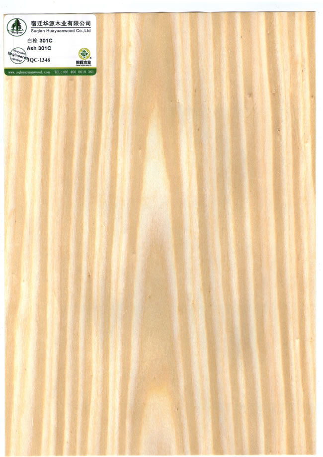 Ash 301 C