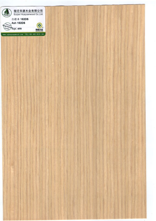 Ash 152DS