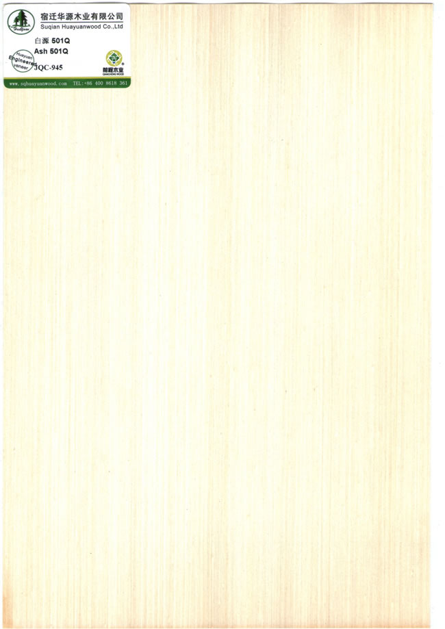 Ash 501Q