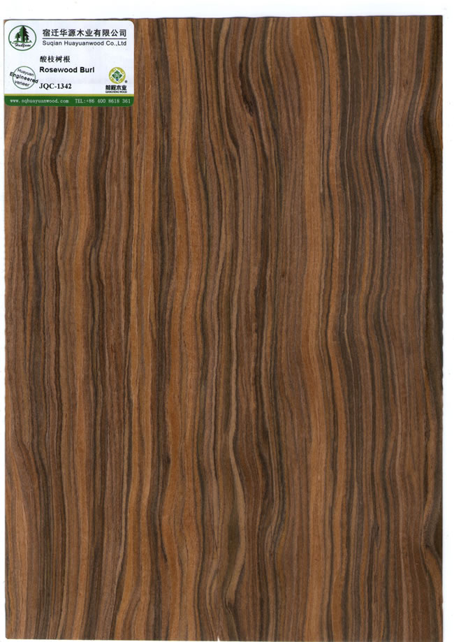 Rosewood Burl