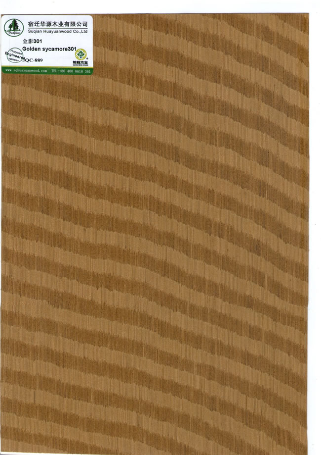 Golden sycamore301