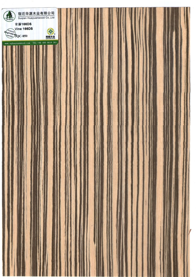 Vine 166DS