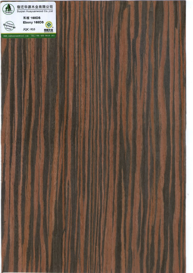 Ebony 168DS