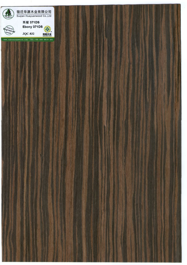 Ebony 371DS