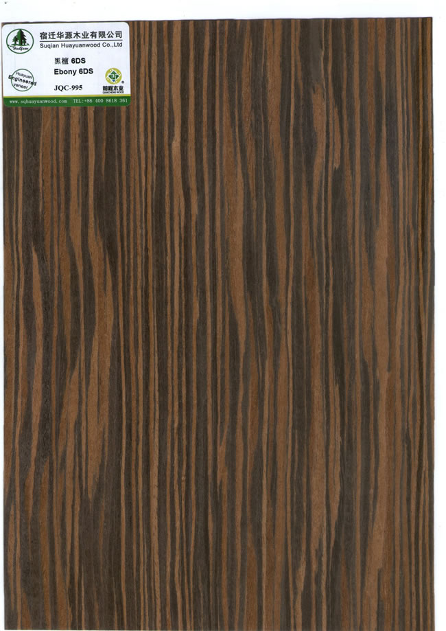 Ebony 6DS