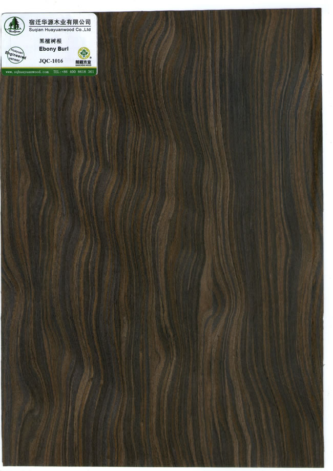 Ebony Burl